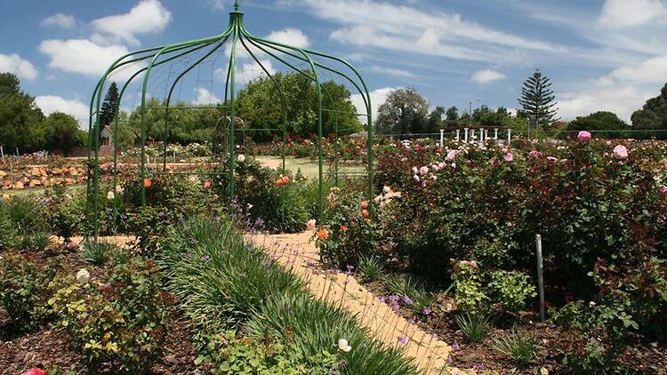 Durbanville Rose Garden