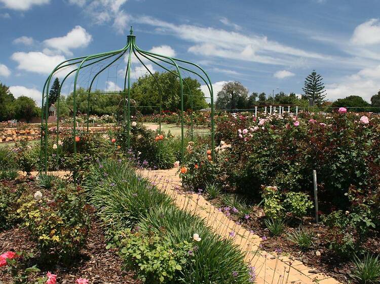 Durbanville Rose Garden