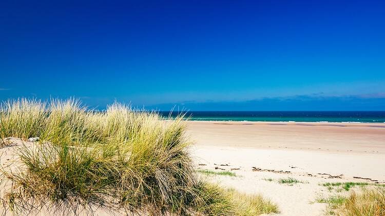 Bamburgh, Northumberland