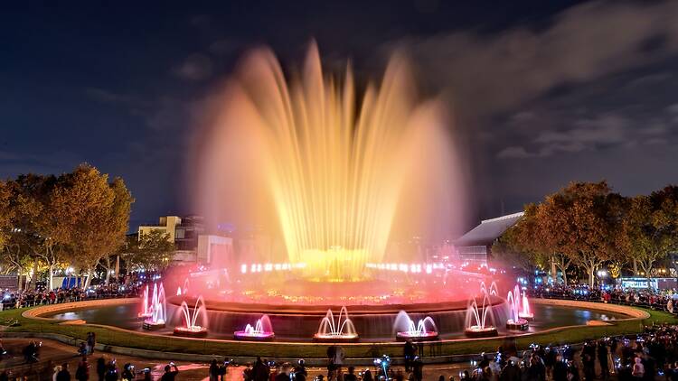 Gaze in awe at the Magic Fountain