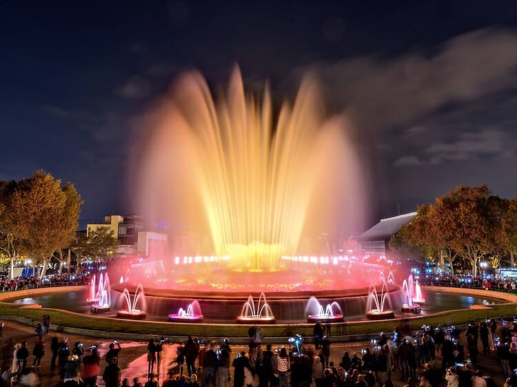 Gaze in awe at the Magic Fountain