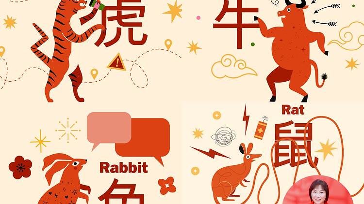 2026馬年運程屬鼠、牛、虎、兔 犯太歲化解開運方法