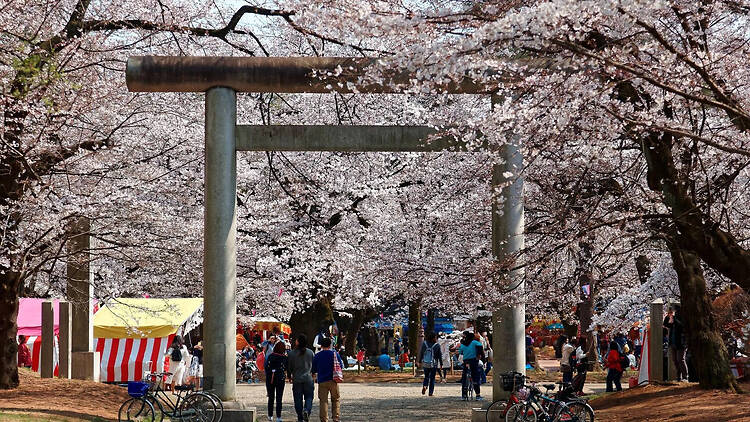 大宮公園（埼玉）