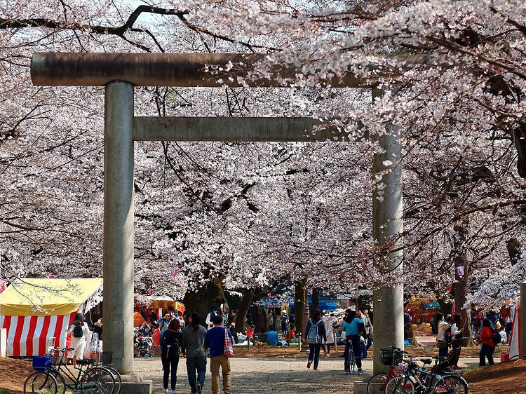 大宮公園（埼玉）