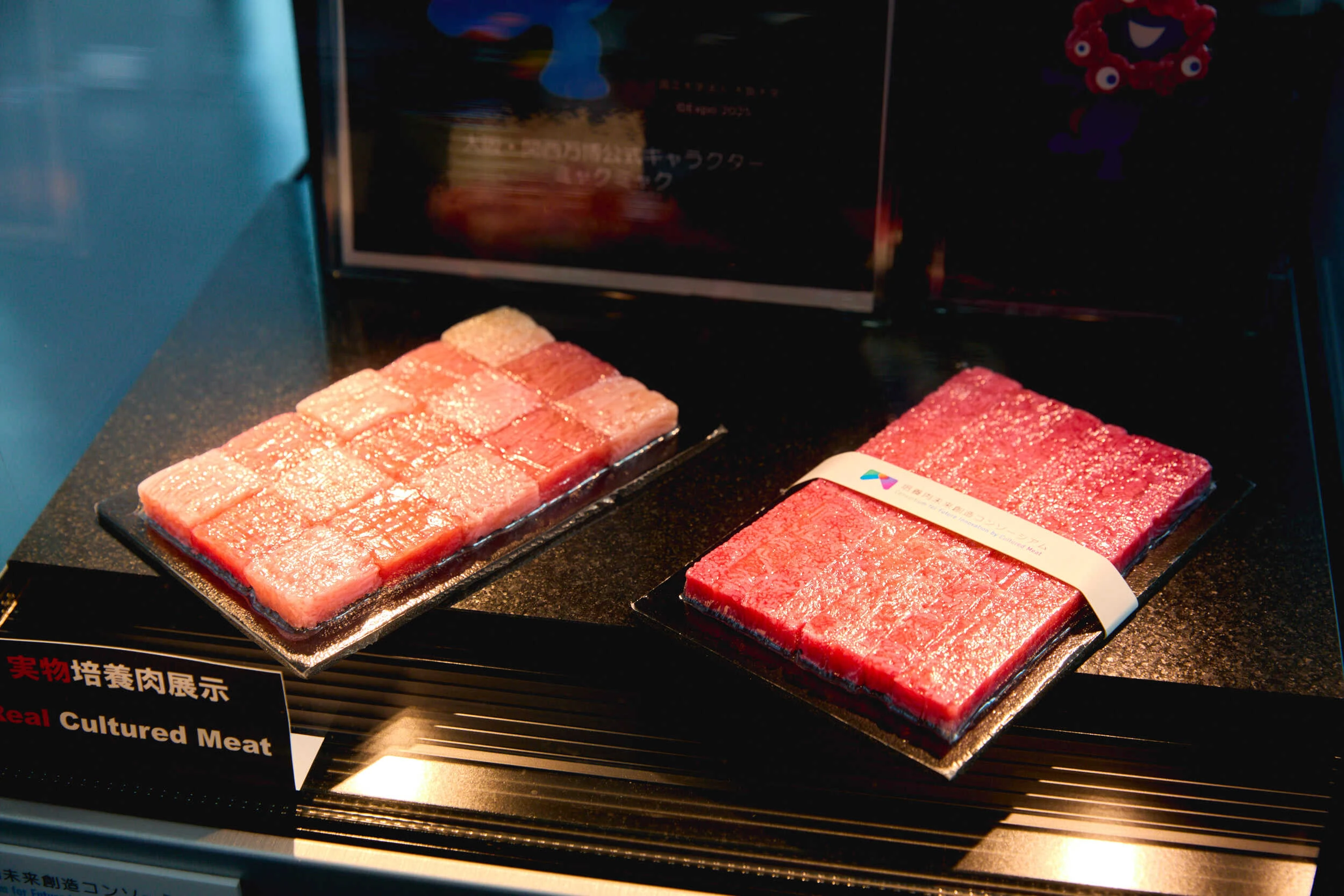 みゃくみゃくとつなぐ展 ～万博とひらく未来～