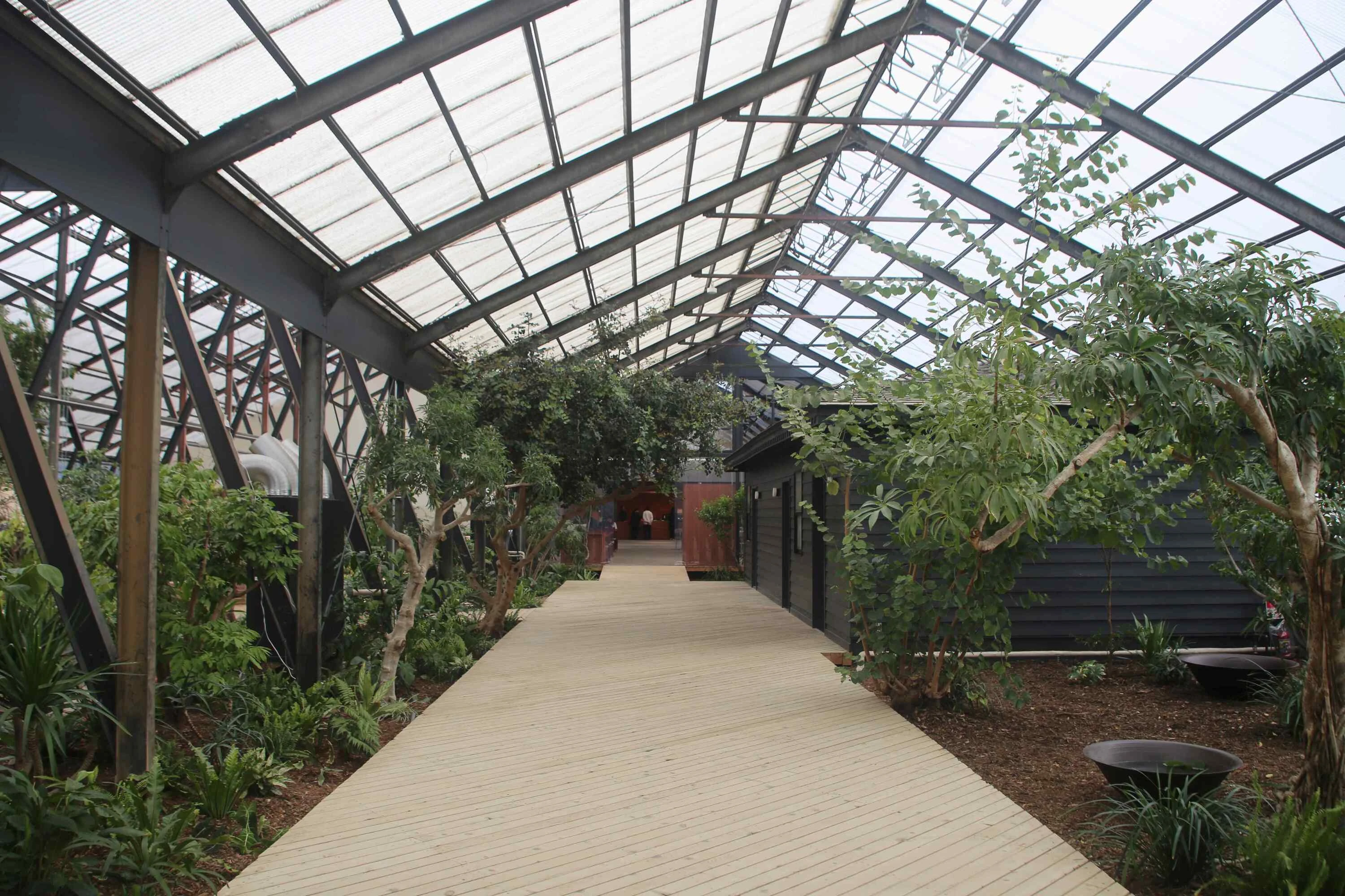 日本とアジアの植物文化を編み直す拠点、「大多喜有用植物苑」が千葉にオープン