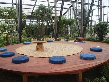 日本とアジアの植物文化を編み直す拠点「大多喜有用植物苑」が千葉にオープン 日本とアジアの植物文化を編み直す拠点「大多喜有用植物苑」が千葉にオープン