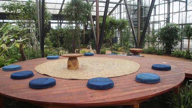 日本とアジアの植物文化を編み直す拠点、「大多喜有用植物苑」が千葉にオープン