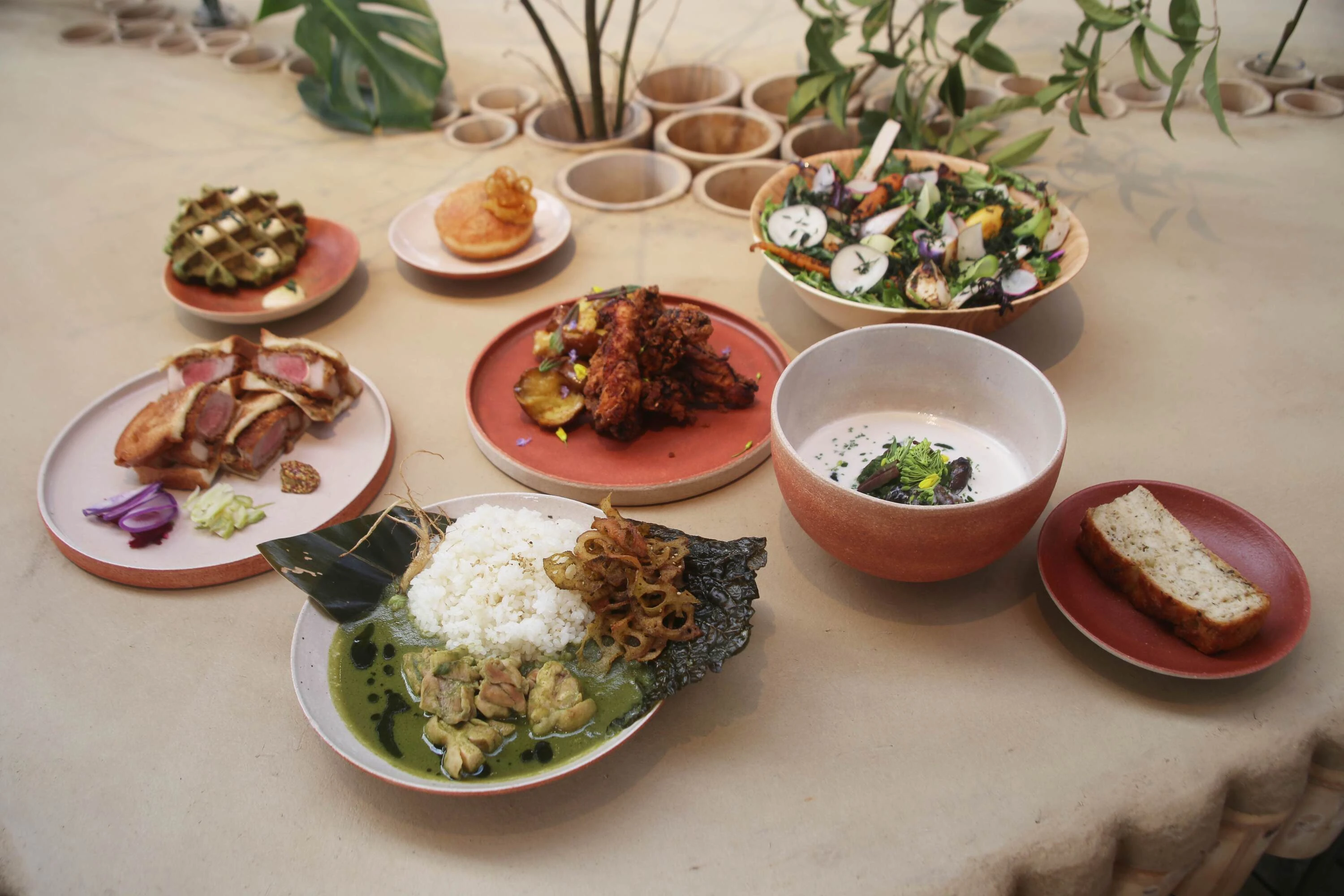 日本とアジアの植物文化を編み直す拠点、「大多喜有用植物苑」が千葉にオープン