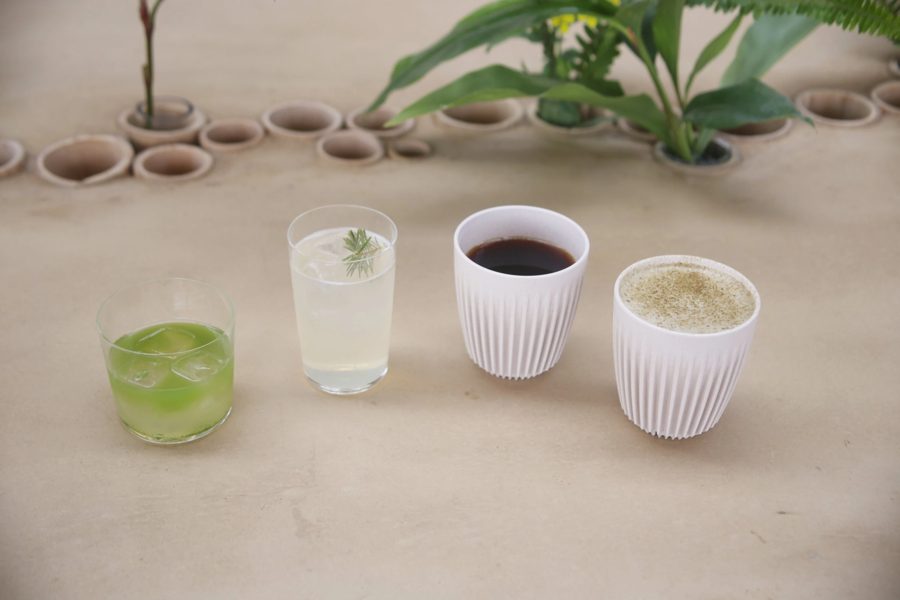 日本とアジアの植物文化を編み直す拠点、「大多喜有用植物苑」が千葉にオープン