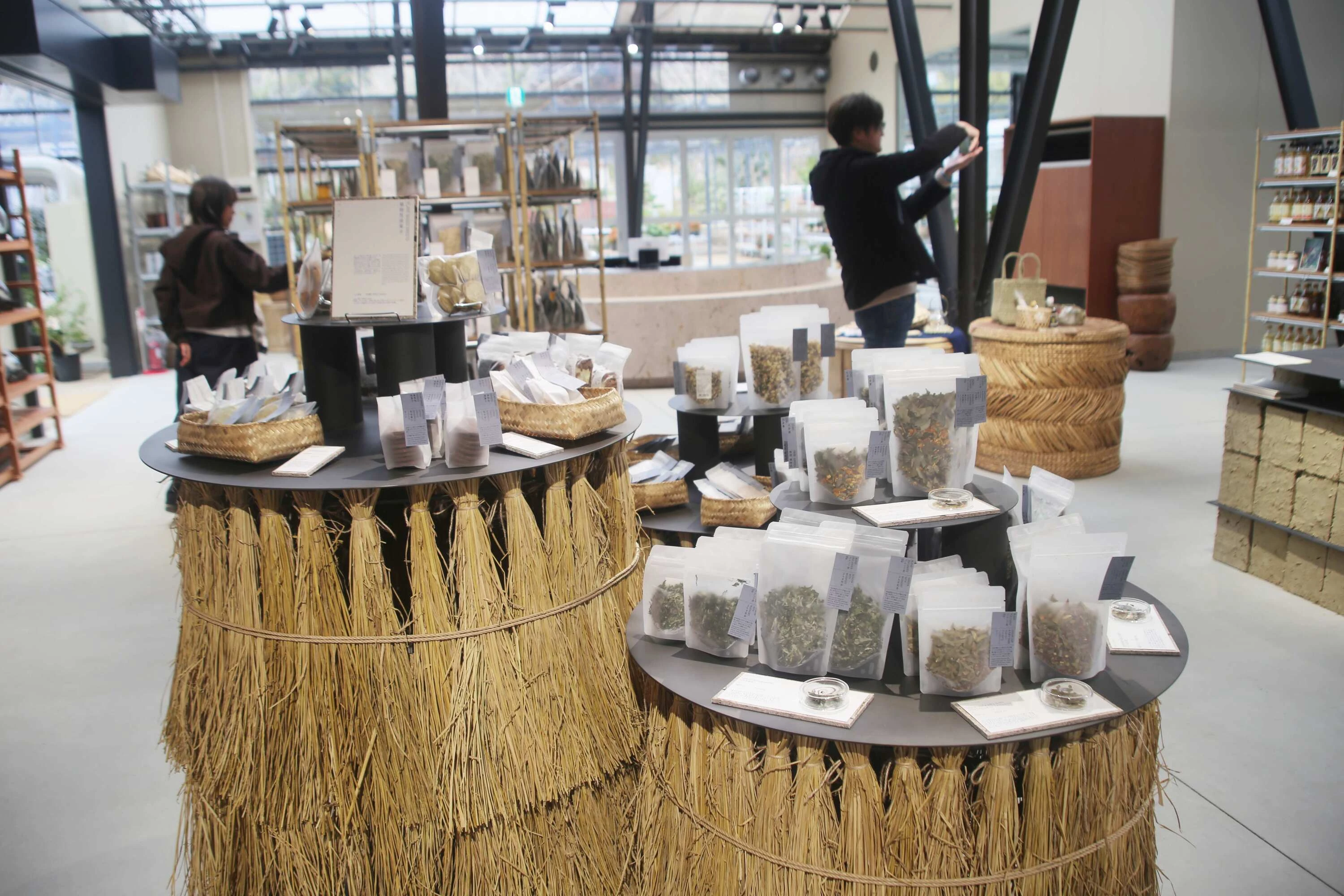 日本とアジアの植物文化を編み直す拠点、「大多喜有用植物苑」が千葉にオープン