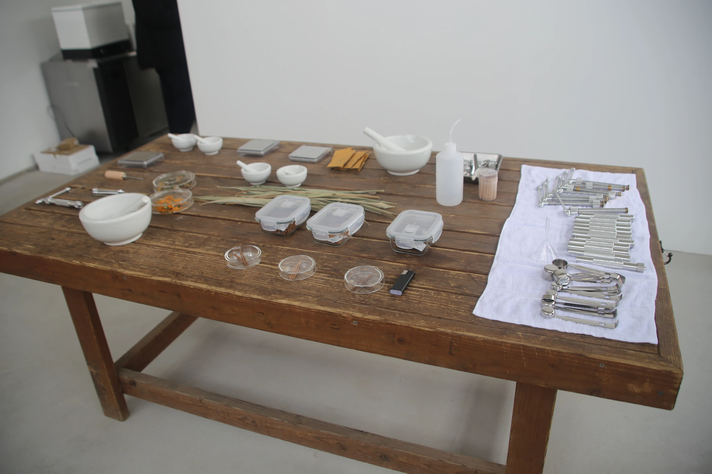 日本とアジアの植物文化を編み直す拠点、「大多喜有用植物苑」が千葉にオープン