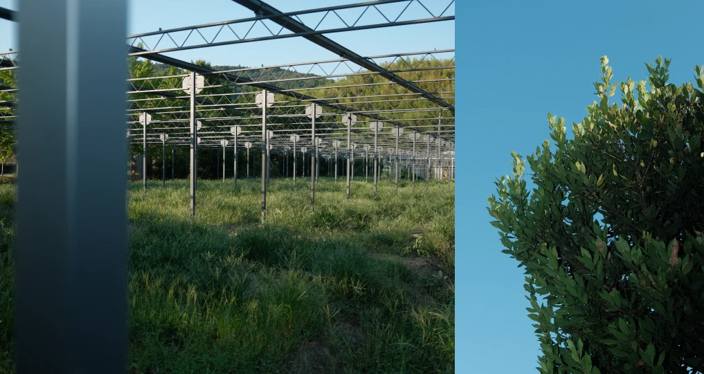 日本とアジアの植物文化を編み直す拠点、「大多喜有用植物苑」が千葉にオープン