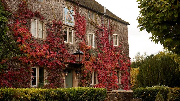 Exterior of The Bath Arms, covered in autumnal red fauna