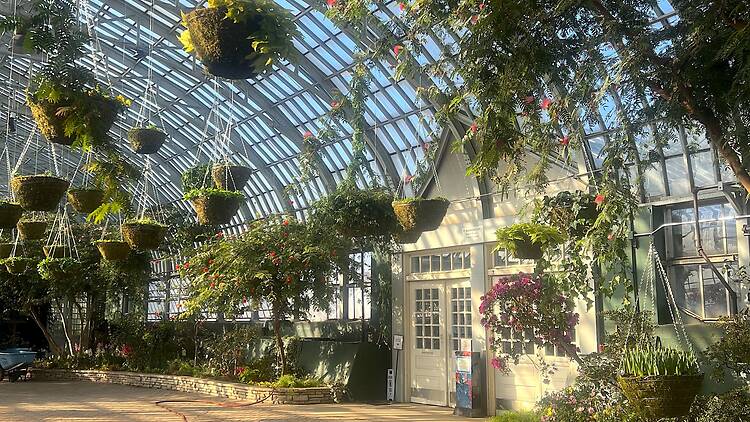 The best things to do in Chicago this weekend