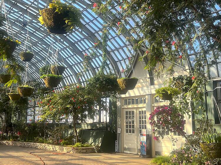 The best things to do in Chicago this weekend