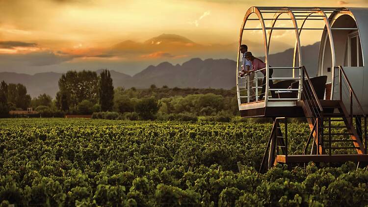 Entre Cielos: loft Suite entre viñedos y cielo andino