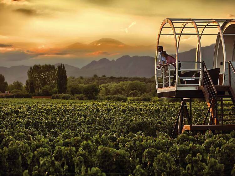 Entre Cielos: loft Suite entre viñedos y cielo andino