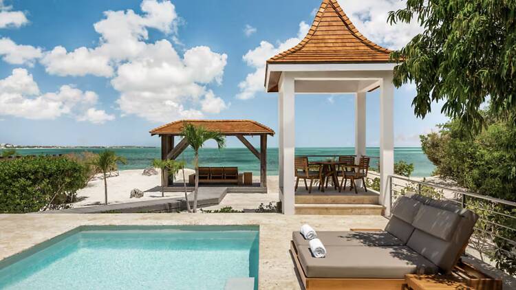 The Deep-Blue Dream: Turtle Tail Estate The Deep-Blue Dream: Turtle Tail Estate