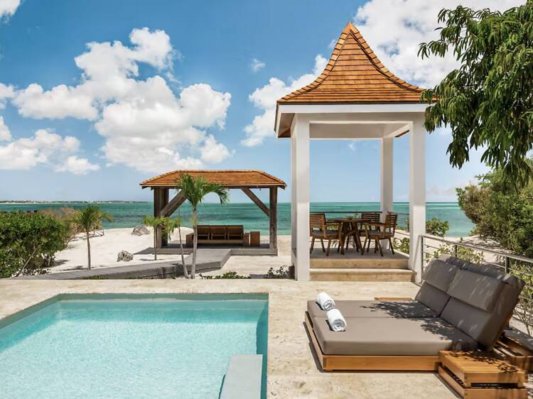 The Deep-Blue Dream: Turtle Tail Estate The Deep-Blue Dream: Turtle Tail Estate