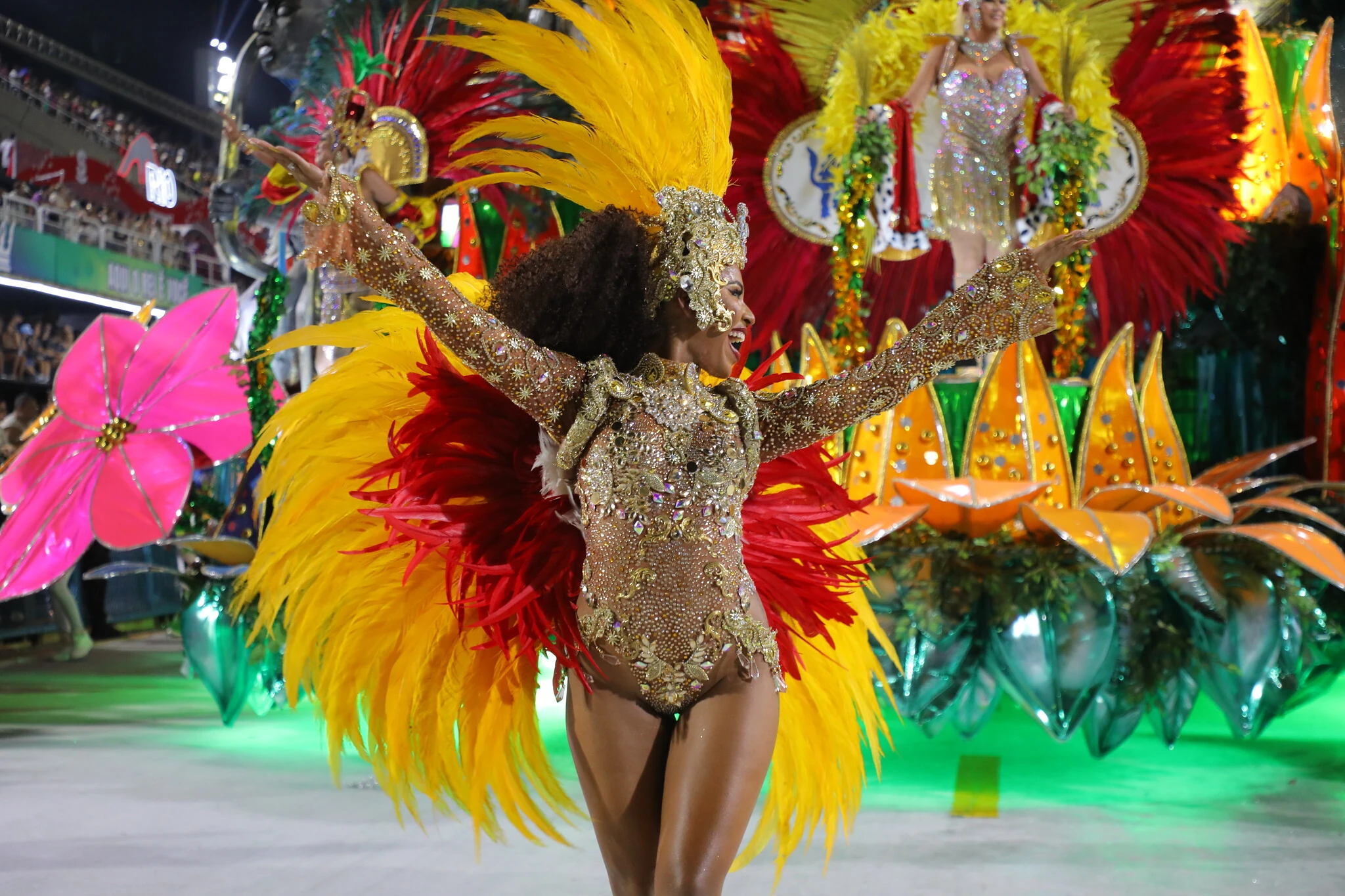 Para&iacute;so do Tuiuti 2026