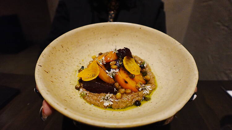 Faba Roma Norte Chiapas Vino 