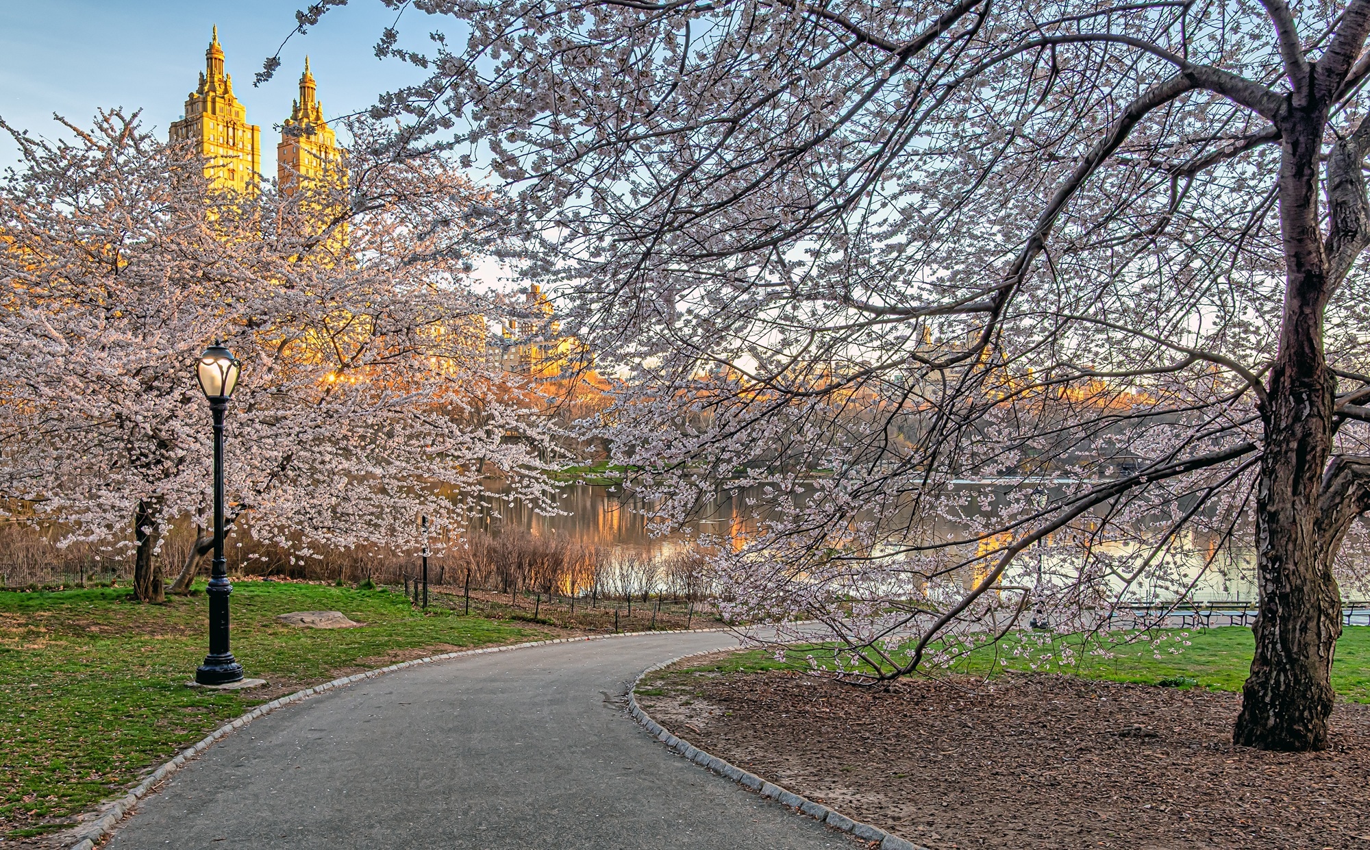 NYC may have a warmer-than-usual spring, says Farmer's Almanac—and thank the weather gods for that
