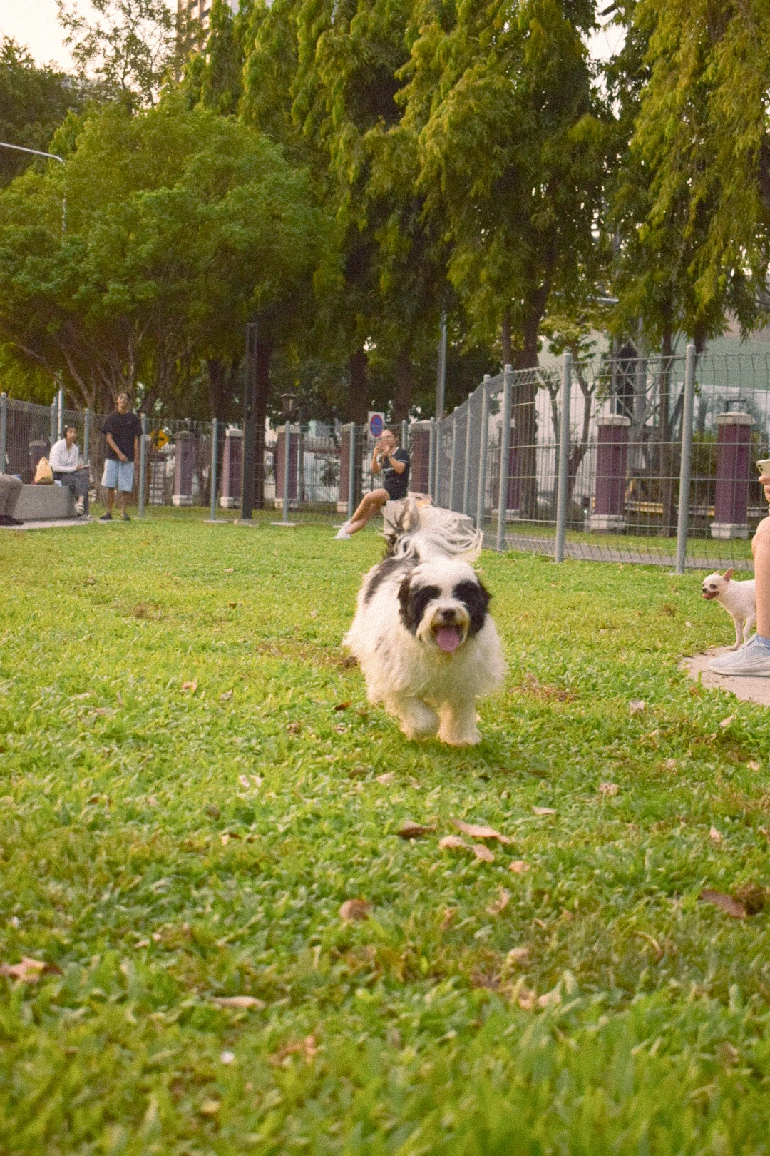 Lalitphat Bumrungkarn