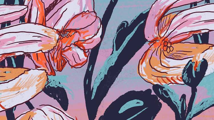 Camino a los almendros