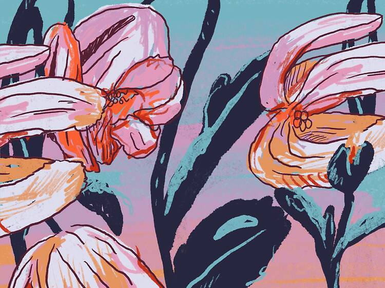 Camino a los almendros