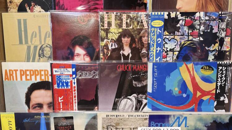 Vinyl Die Hards Vinyl Die Hards