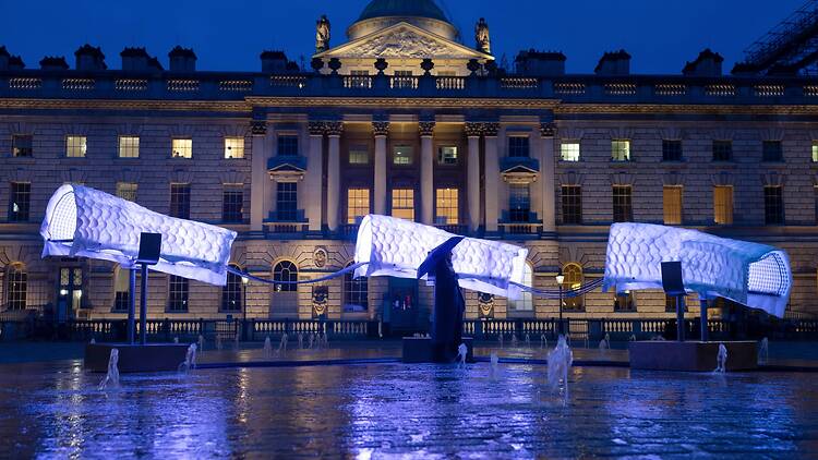 Dana-Fiona Armour: Serpentine Currents