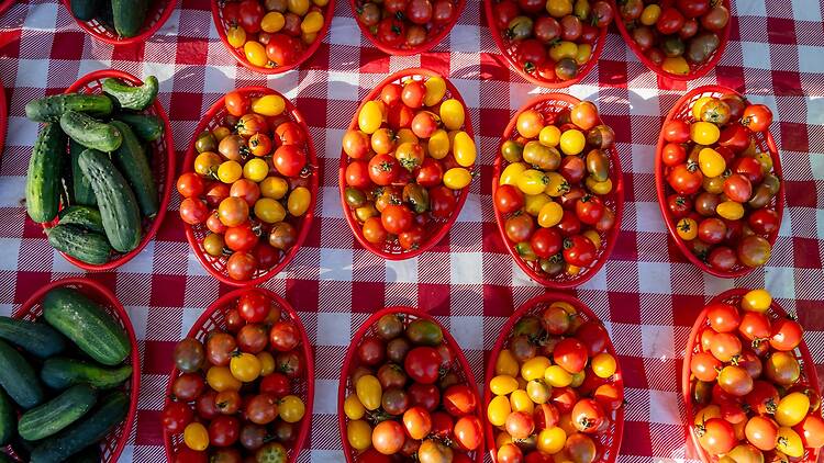 Tomatoes and cucumbers on display at the Andersonville Farmers Market.