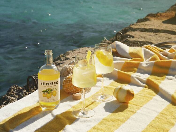 Malpensado Sparkling Wines malpensado-sparkling-wines