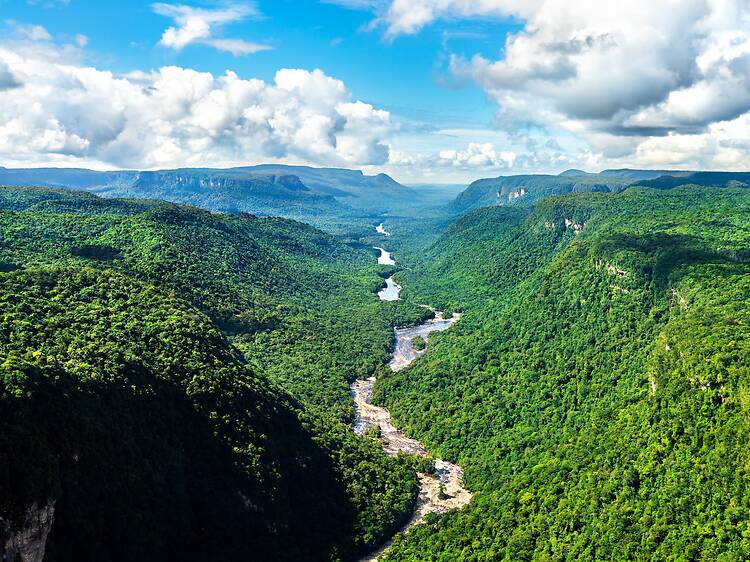 You could win a trip to this underrated, wildlife-rich South American destination – here’s how to enter