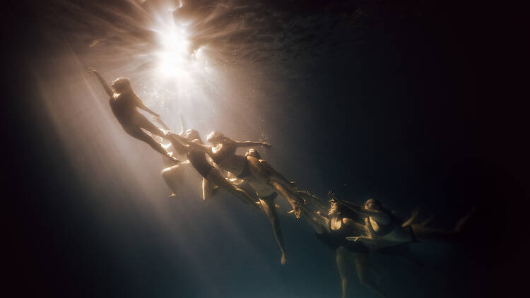 Delfina Pignatiello returns to the water with her exhibition “Ninfas” Delfina Pignatiello returns to the water with her exhibition “Ninfas”