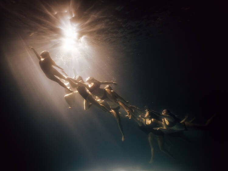 Delfina Pignatiello returns to the water with her exhibition “Ninfas” Delfina Pignatiello returns to the water with her exhibition “Ninfas”