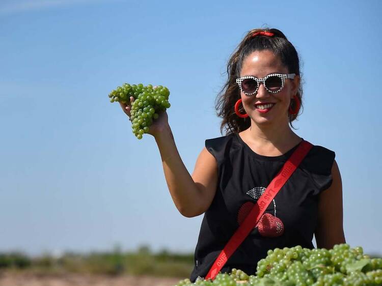 Wine, eroticism, and writing in Floresta Wine, eroticism, and writing in Floresta