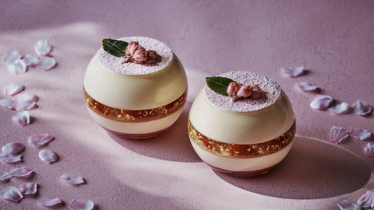 桜ティラミス 桜ティラミス