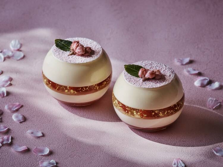 桜ティラミス 桜ティラミス