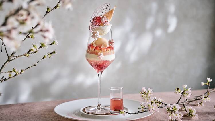 Spring SAKURA Parfait Spring SAKURA Parfait