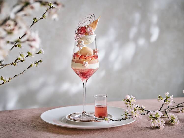 Spring SAKURA Parfait Spring SAKURA Parfait