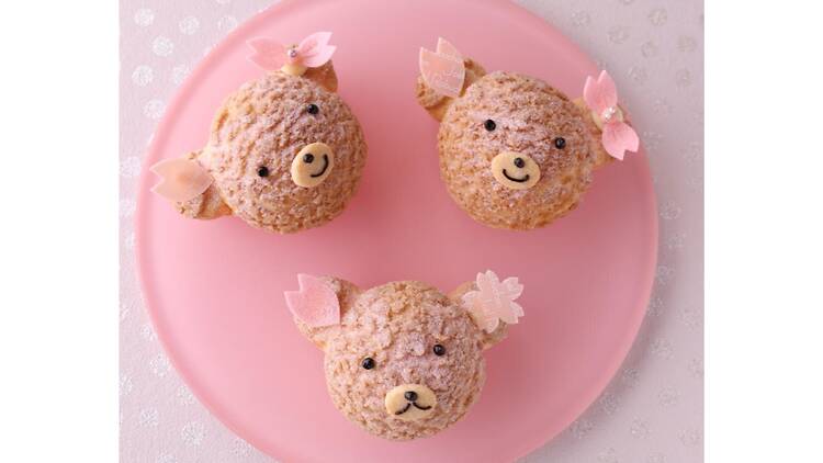 クマさんシュー さくら クマさんシュー さくら