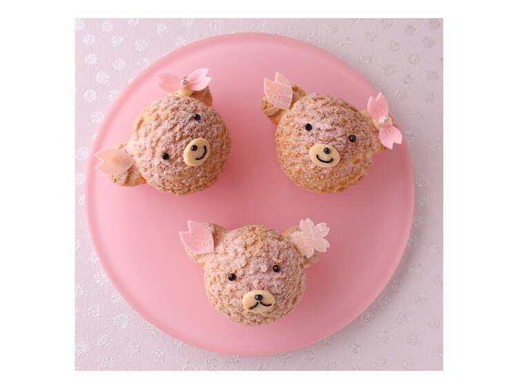 クマさんシュー さくら クマさんシュー さくら