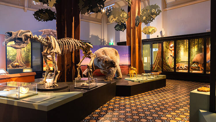 Surviving Australia Exhibition at the Australian Museum