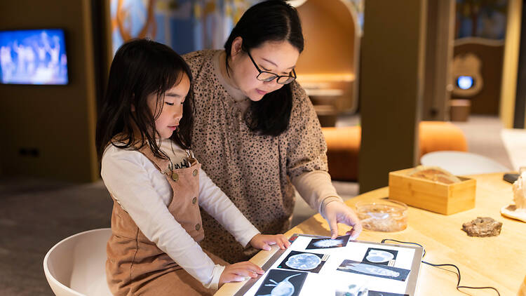 Mother and daughter learning at the Australian Museum