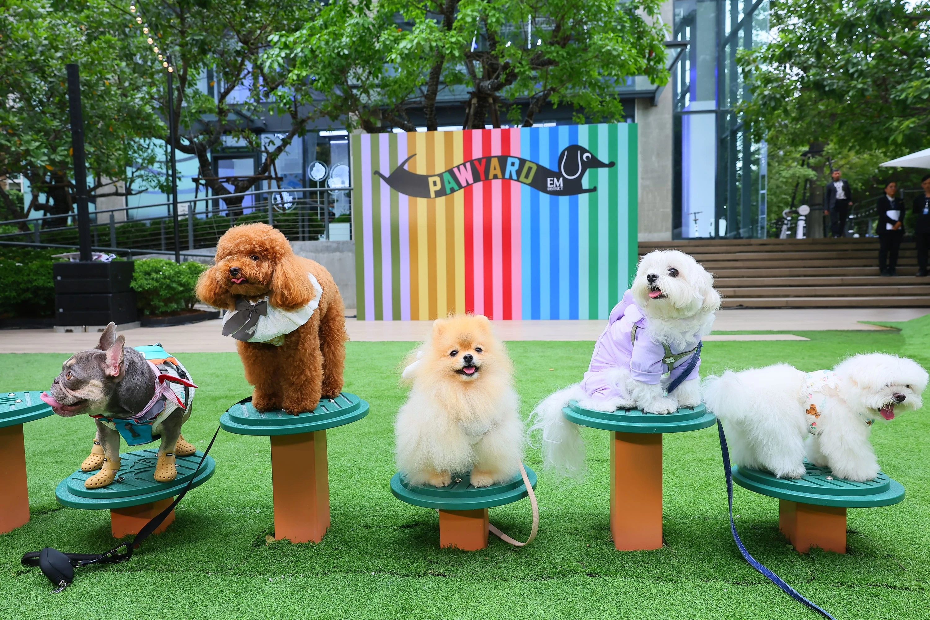 Emsphere at EM District