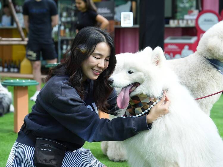 Bring your four-legged friend to strut, snap photos and play at Dogue Days Out Bring your four-legged friend to strut, snap photos and play at Dogue Days Out