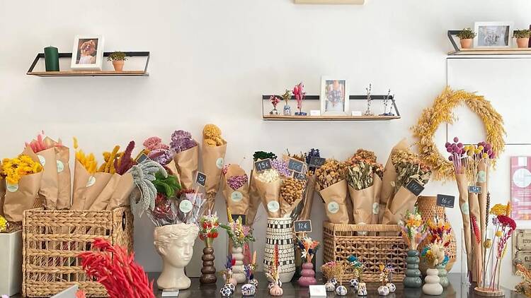 Catarina Sampaio Soares