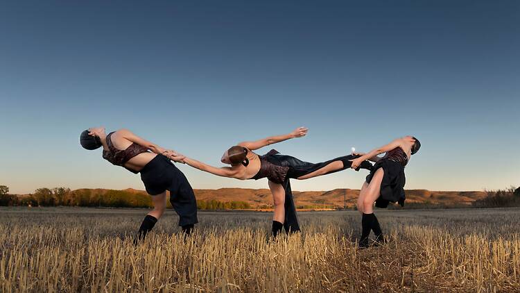 Planes culturales para el Día de la Mujer
